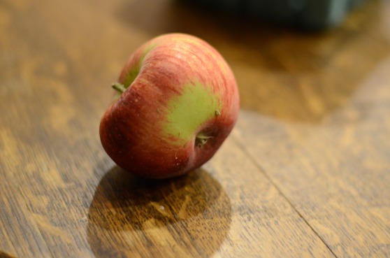 My sister-in-law Maggie brought me back a ton of apples from picking this year, and they were all beautiful except for this one!
